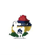 Mauritius Sports Association UK