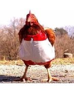 Nelson Poultry FC