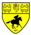 Newmarket Town U16's