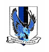NORTHOLT EAGLES FC