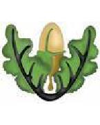 Old Actonians Association FC
