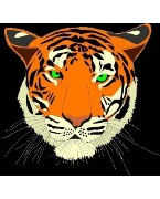 Parklands Tigers F.C.
