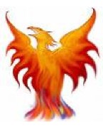 Phoenix junior football club