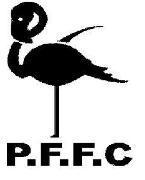 Pink Flamingos Football Club