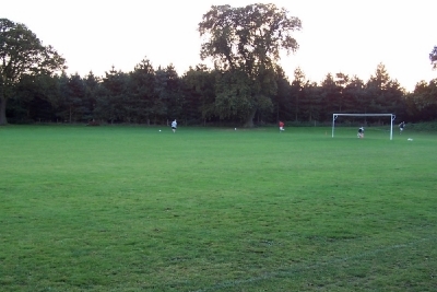 The hallowed turf!