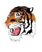 RCT Tigers FC