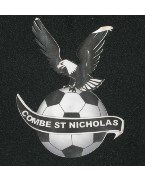 Combe St Nicholas
