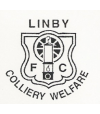 Linby Colliery Welfare FC