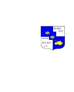Shard End Royals F.C