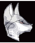 Silver Fox Reserves FC