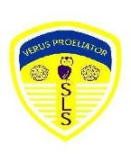 South Leeds Saints