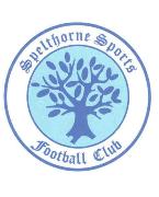 Spelthorne Sports Colts Under 15s Season 2011-12