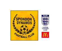 Spondon Dynamos F.C. seniors