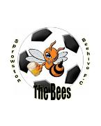 Sprowston Beehive FC