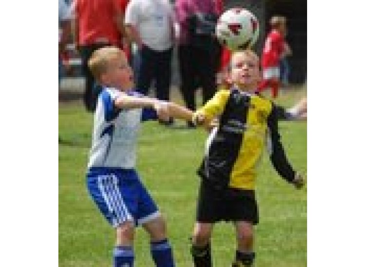 Dylan keeping his eye on the ball