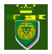 Syon Youth F.C