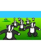 The Badgers