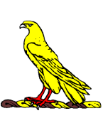 THIRSK FALCONS GIRLS FC