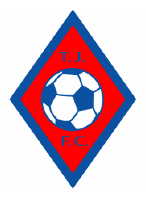 Thornes Juniors FC