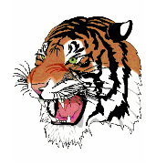 Tigers Under 15s