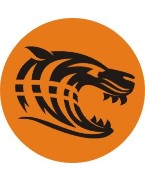 Tingley Tigers jfc