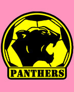 Tokyo Panthers FC