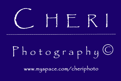 1 of our sponsors