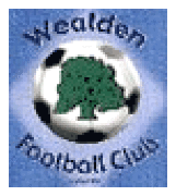 WEALDEN COLTS FC