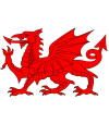 Wellfield Athletic Football Club