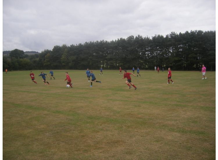 Tigers at Play against Sevenoaks
