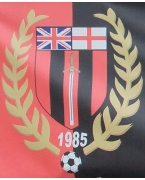 WHISTON JUNIORS U13s 2012/13
