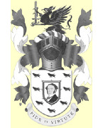 THE GLADSTONE ARMS FC (formally whitehartcombe fc )