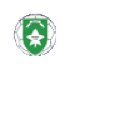 Whyteleafe Youth