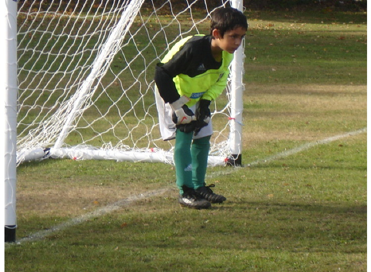 Eagle eyed keeper