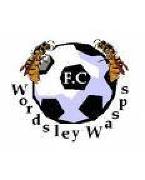 Wordsley Wasps Junior Football Club