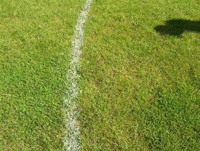 Not a weed in sight - a close up of the superb surface at Borough Park