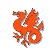 Wyvern Football Club