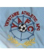 Ynystawe Athletic F.C Under 12s
